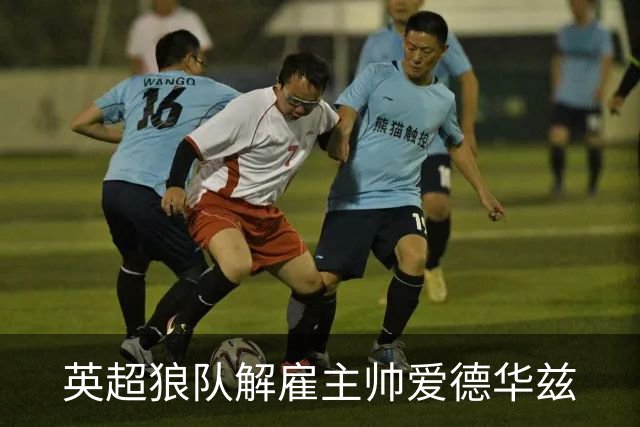 英超狼队解雇主帅爱德华兹